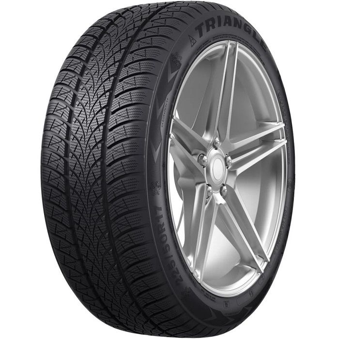 Triangle 205/50R17 93V XL WinterX TW401 (Kış) (2023)